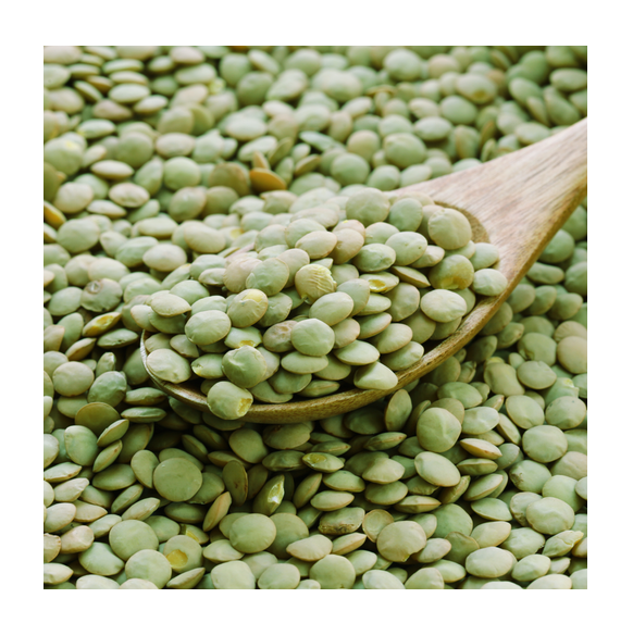 Green lentils at wholesale price Red Lentils, Green Lentils, Brown Lentils