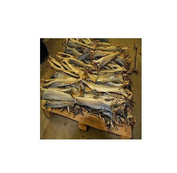 100% dry Stock Fish / Norway Dried StockFish