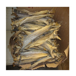 100% dry Stock Fish / Norway Dried StockFish