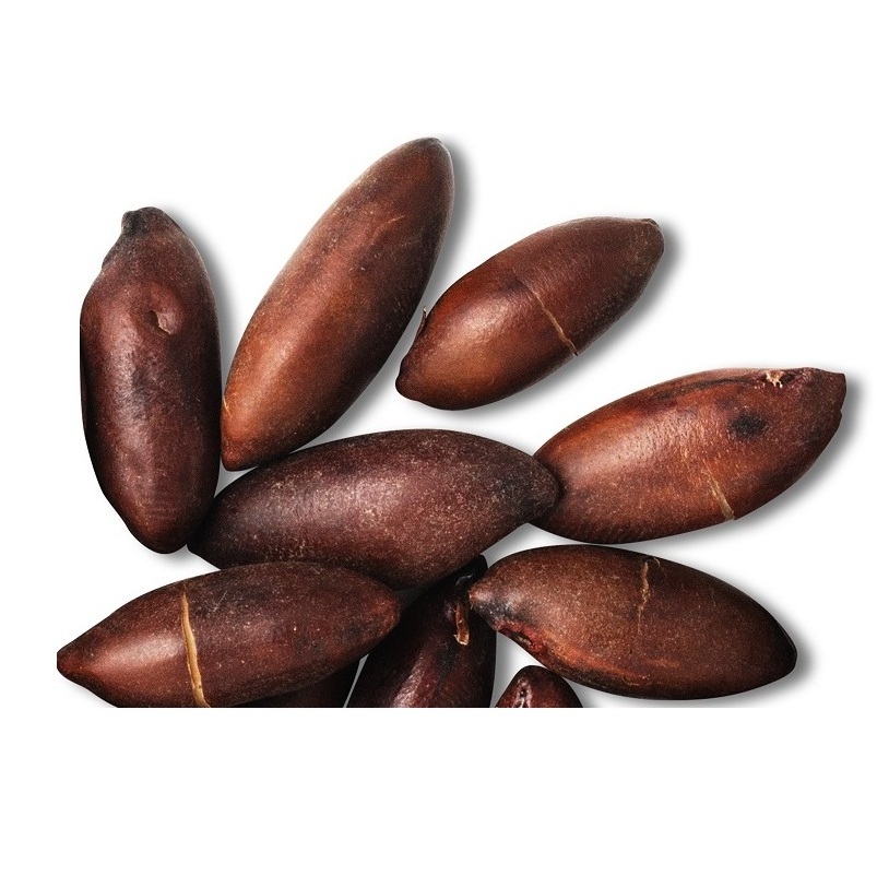 High Quality Baru Nuts (Barukas) For Sale At Low Price