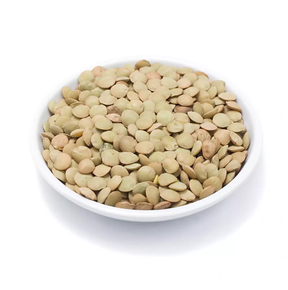 Green lentils at wholesale price Red Lentils, Green Lentils, Brown Lentils