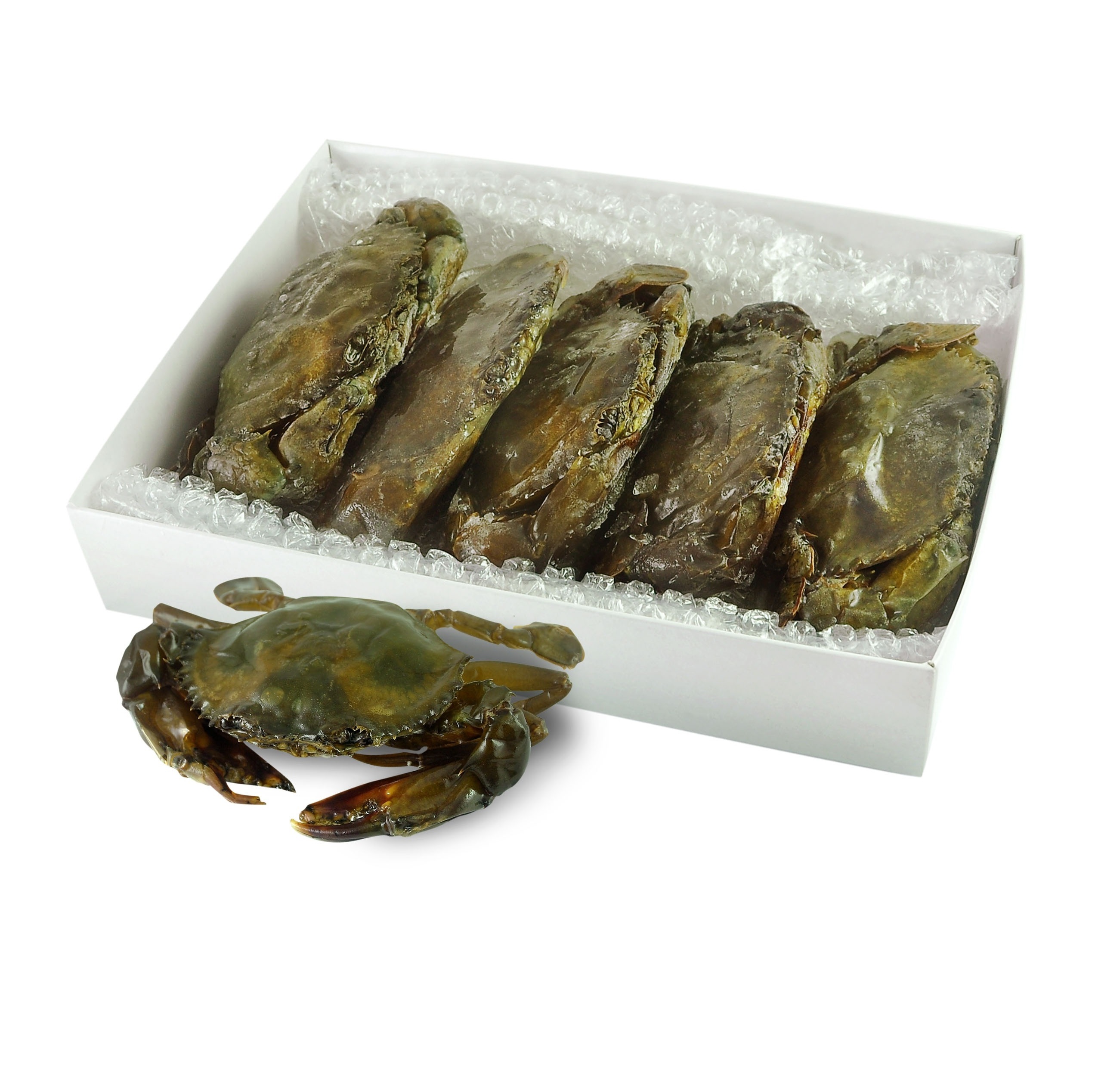 Quality Soft Shell Crab/Live Mud Crab/Frozen Soft shell Crab Box price supplier