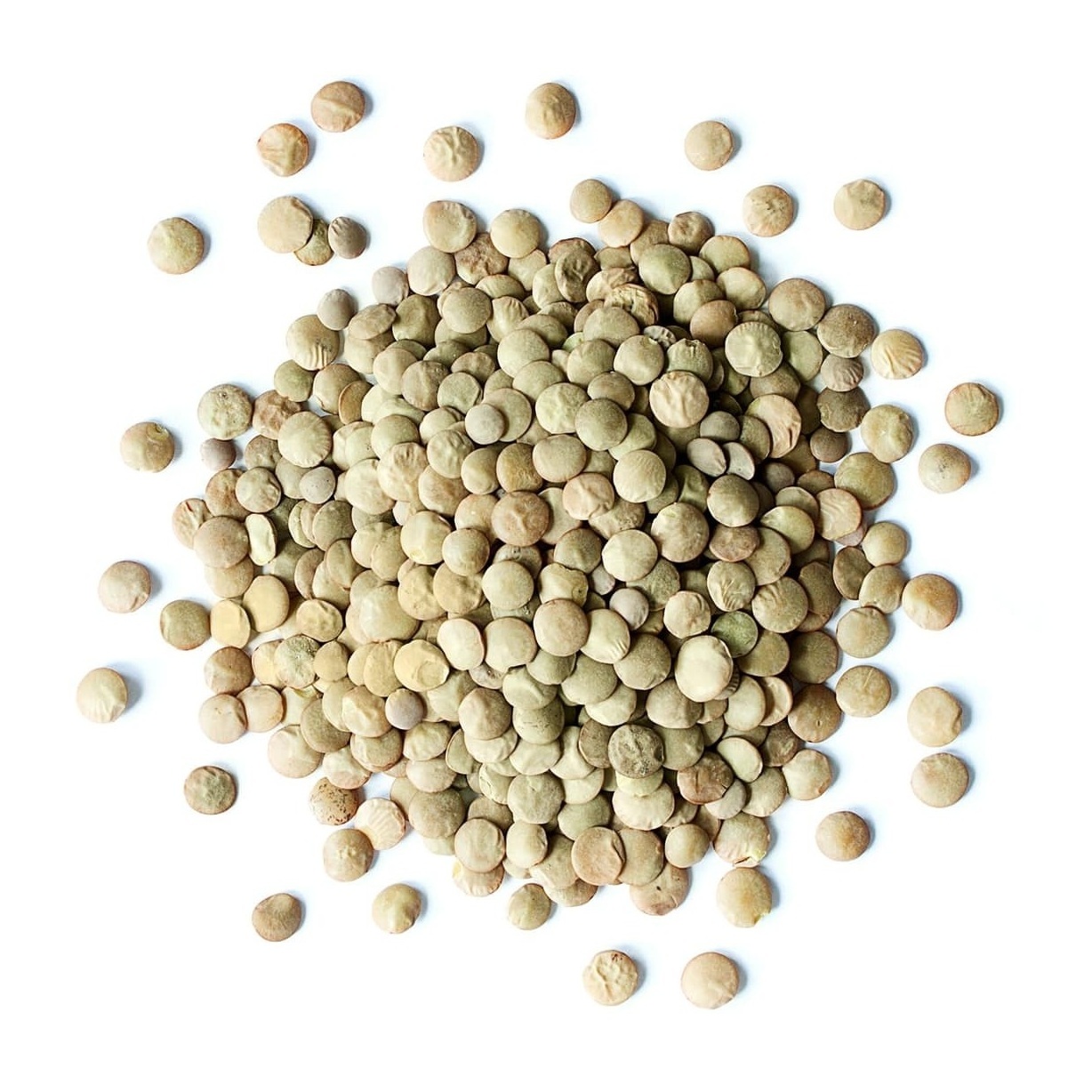 High Quality Canadian Whole Green Lentils Dry Organic Green Lentils Available For Sale At Low Price