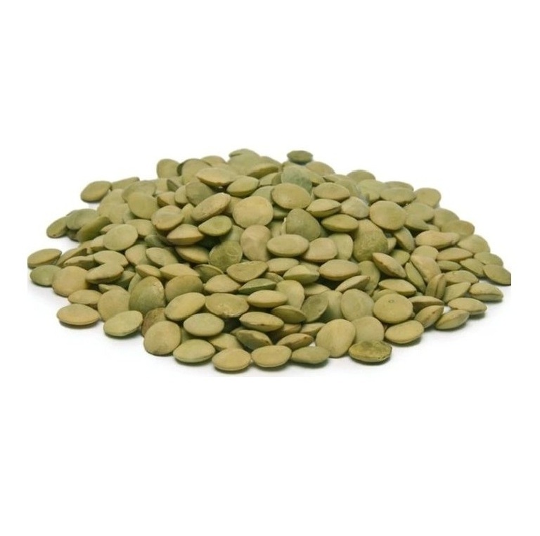 High Quality Canadian Whole Green Lentils Dry Organic Green Lentils Available For Sale At Low Price