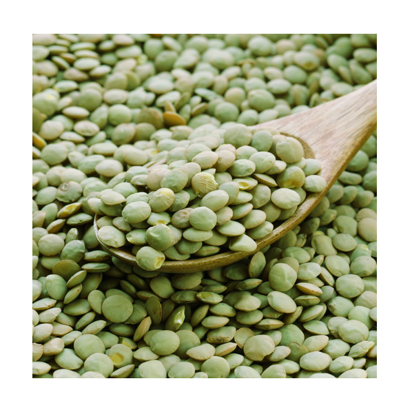 High Quality Canadian Whole Green Lentils Dry Organic Green Lentils Available For Sale At Low Price