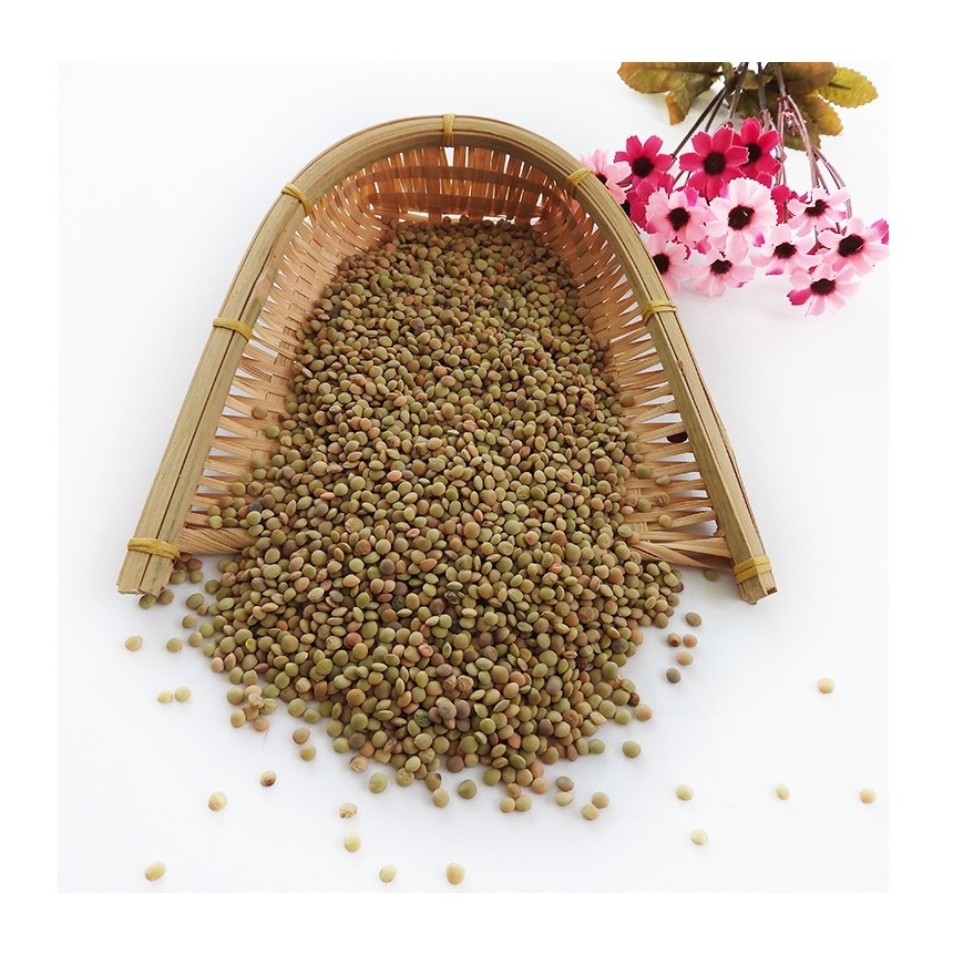 High Quality Canadian Whole Green Lentils Dry Organic Green Lentils Available For Sale At Low Price