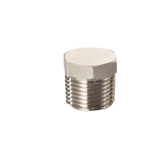 Hex head Brass npt bspt bspp Threaded Pipe Plug