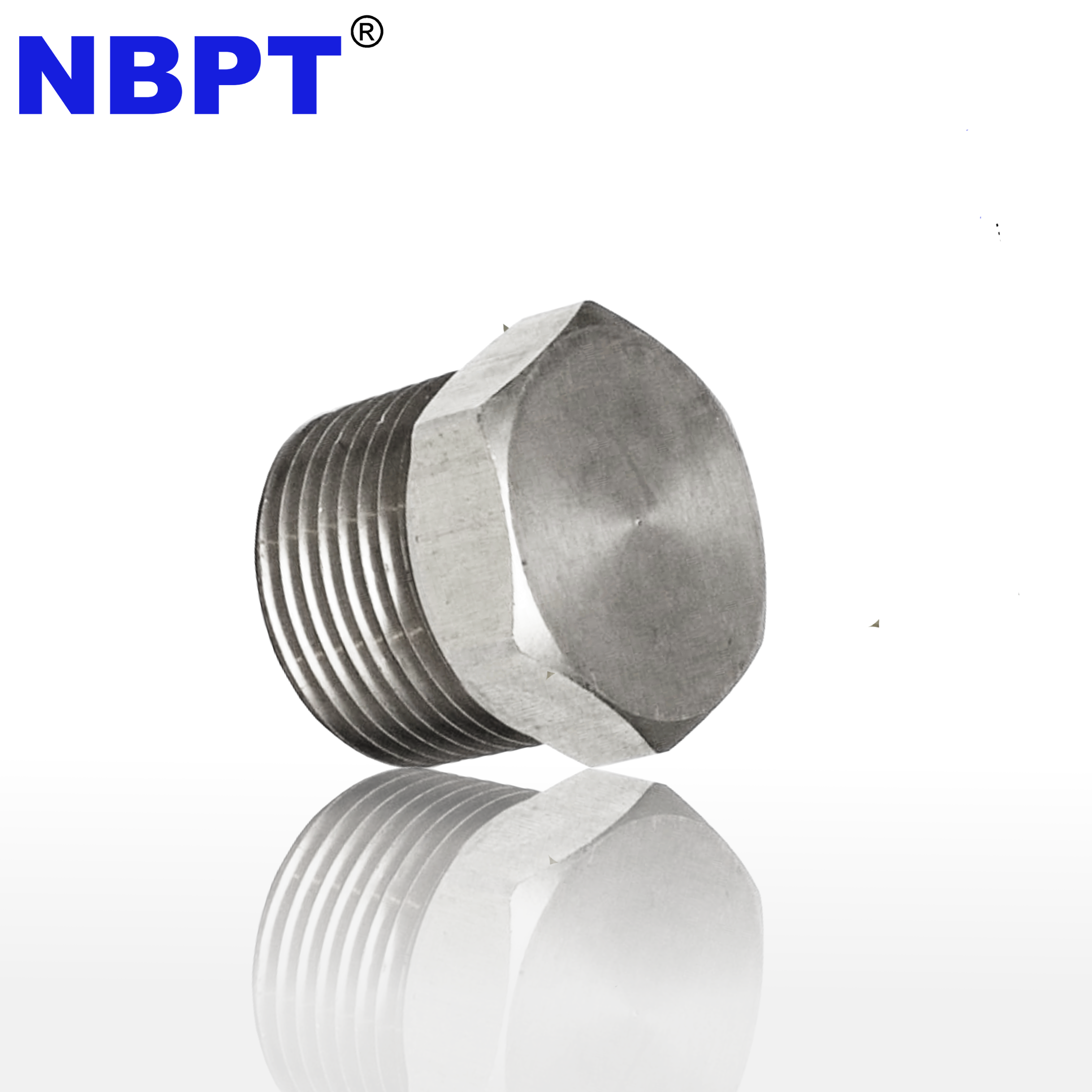 Hex head Brass npt bspt bspp Threaded Pipe Plug