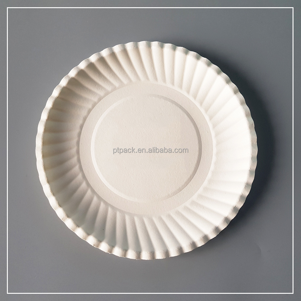 PTPACK Free Sample Round Custom White Uncoated Disposable Paper Plates 9inch Diameter 12 Packs Of 100 Paper Tray Dish