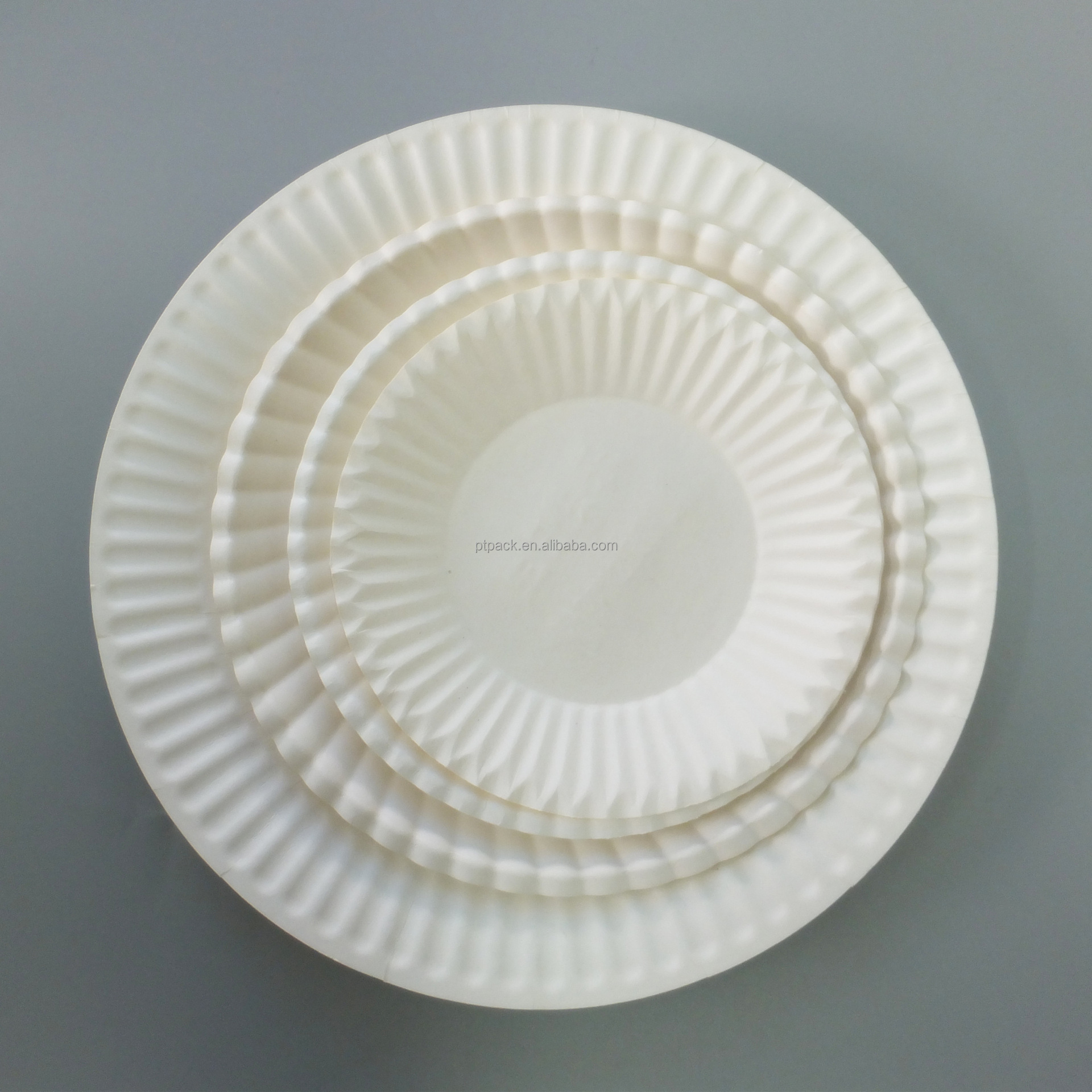 PTPACK Free Sample Round Custom White Uncoated Disposable Paper Plates 9inch Diameter 12 Packs Of 100 Paper Tray Dish