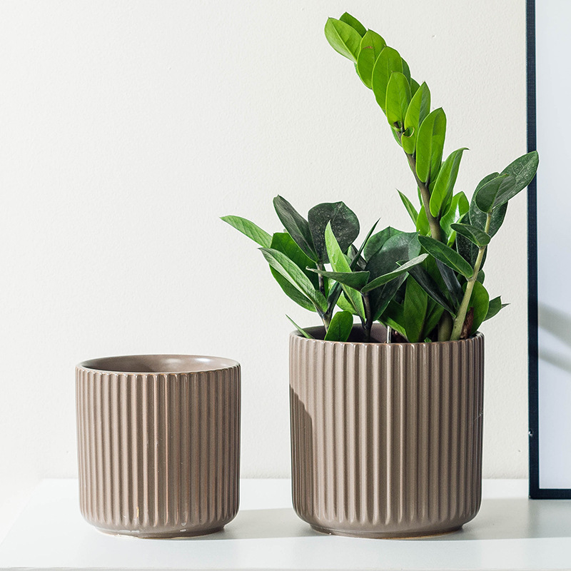 Modern Durable Indoor Ceramic Matte Flower Pot Wholesale Bonsai Pots White Cylinder Craft Plant Pots for Home and Garden Use