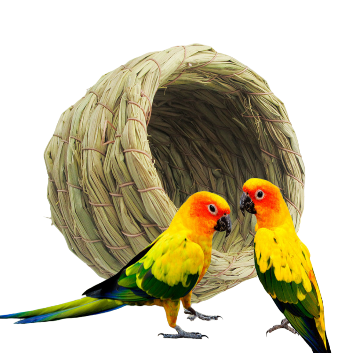 Wholesale pure straw braided gourd bird nest grass bird nest type parrot Myna small bird hptel