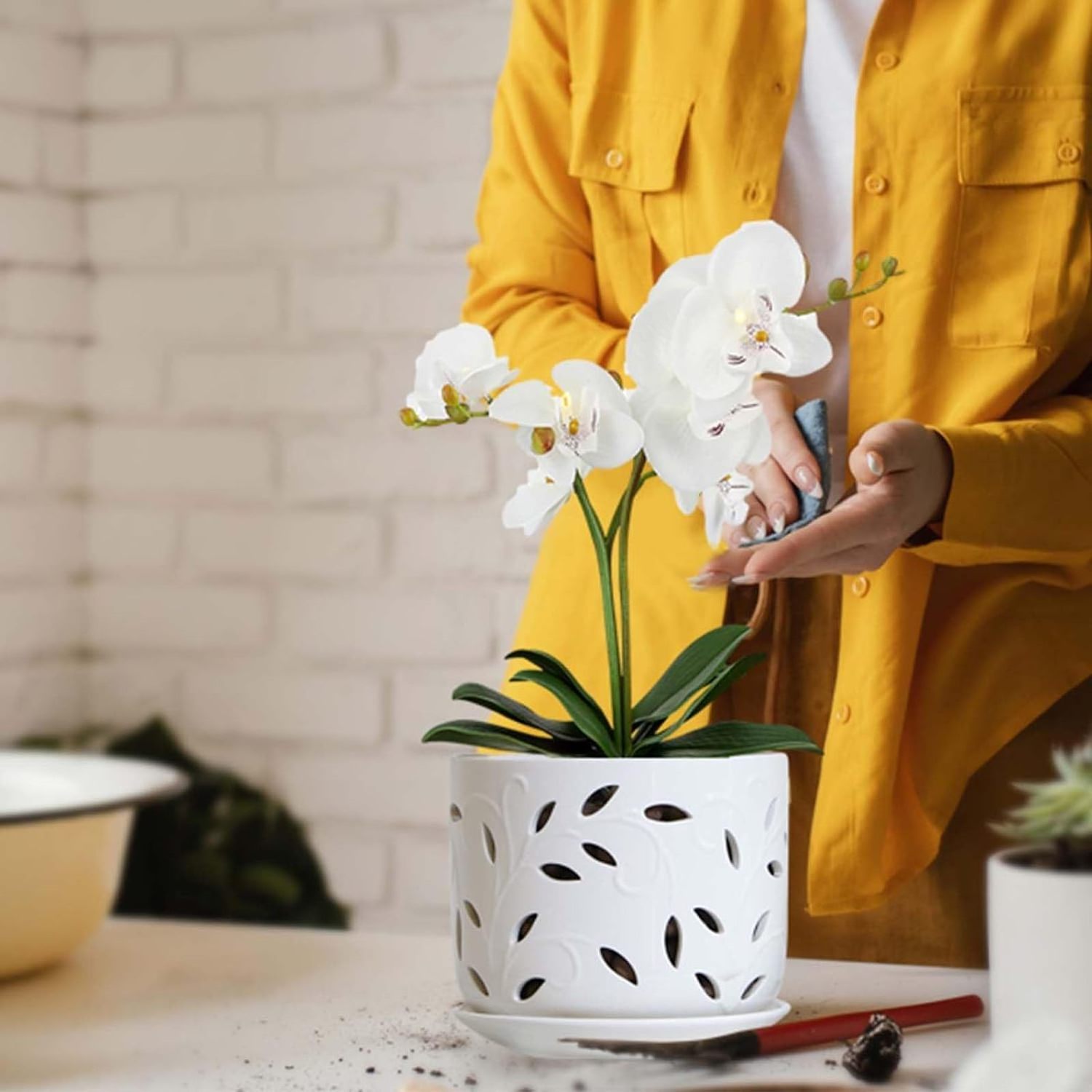 Ceramic Orchid Pot with Drainage Holes and Tray Flower Pot Plants Promoting Air Circulation for Healthy Plant Growth