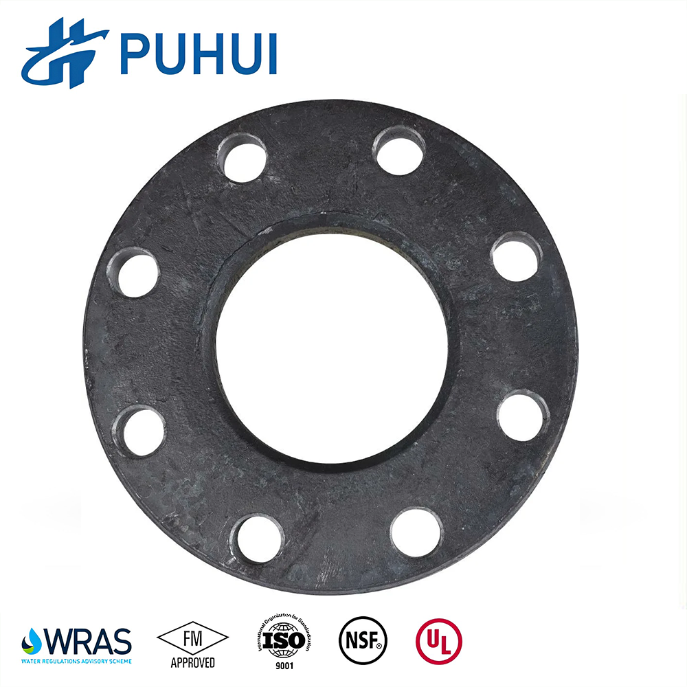 Ductile Cast Iron Backup Flange