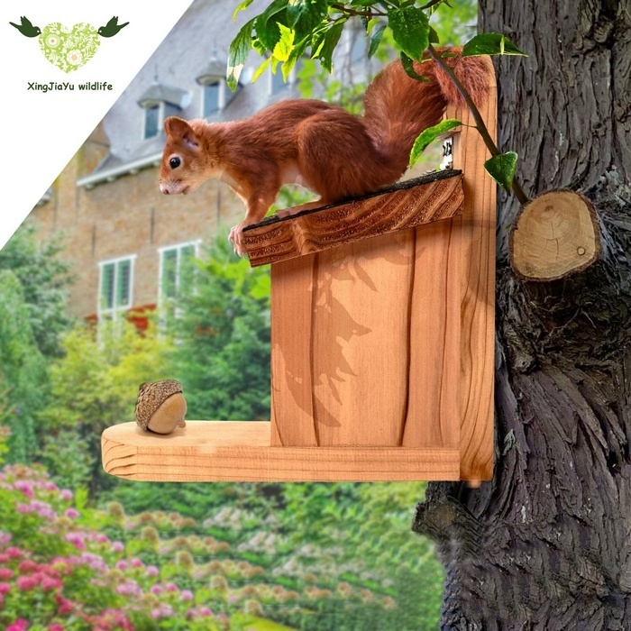 Robust Squirrel Bird Feeder with Weatherproof Flat Wooden Roof Animal Pattern for Small Animal Cages Carriers Houses Hotels