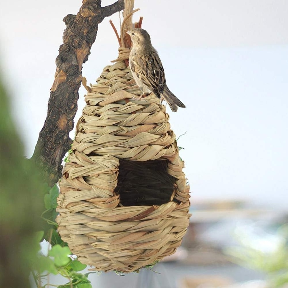 Funihut Bird Nest Birds Cages