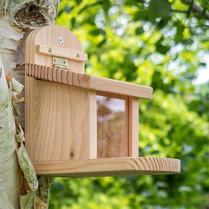 Wooden Squirrel Feeder with Solid Wood