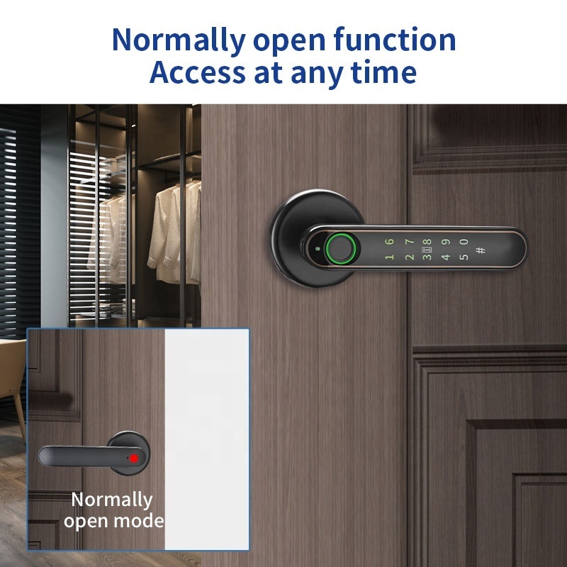 Pulido Fingerprint Tuya BLE Smart Door Lock Keyless Ball Knob Digital Bedroom  Prison Door Lock