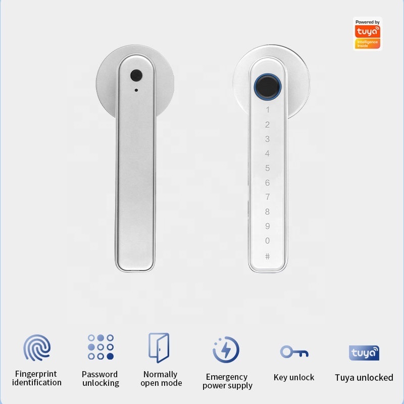 Pulido WiFi App Smart Door Locks Biometric Lock Fingerprint Door Handle With Keypad Home Smart Deadbolt Lock