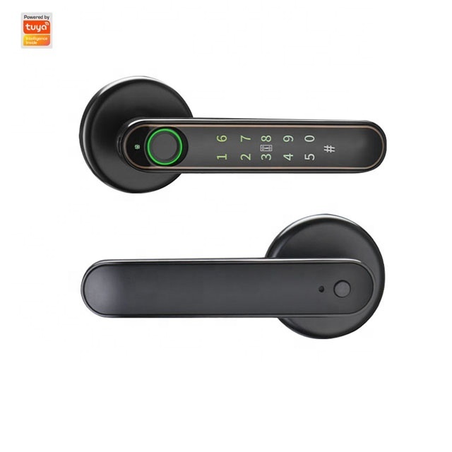 Hot Sale TTlock Smart Lock Intelligent Fingerprint Lock Card Password Unlock Electronic Lock