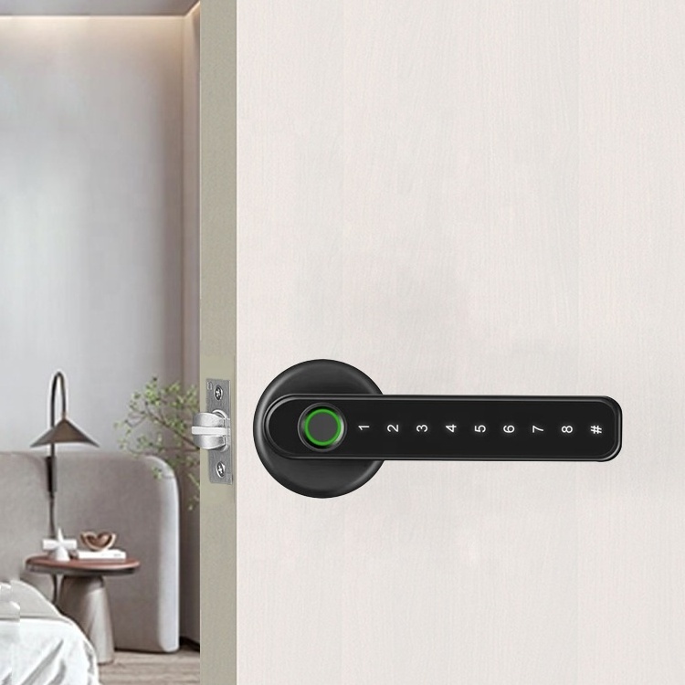 Pulido Fingerprint Ttlock Tuya BLE Smart Lock Keyless Unlock Waterproof Smart Patio Door Locks