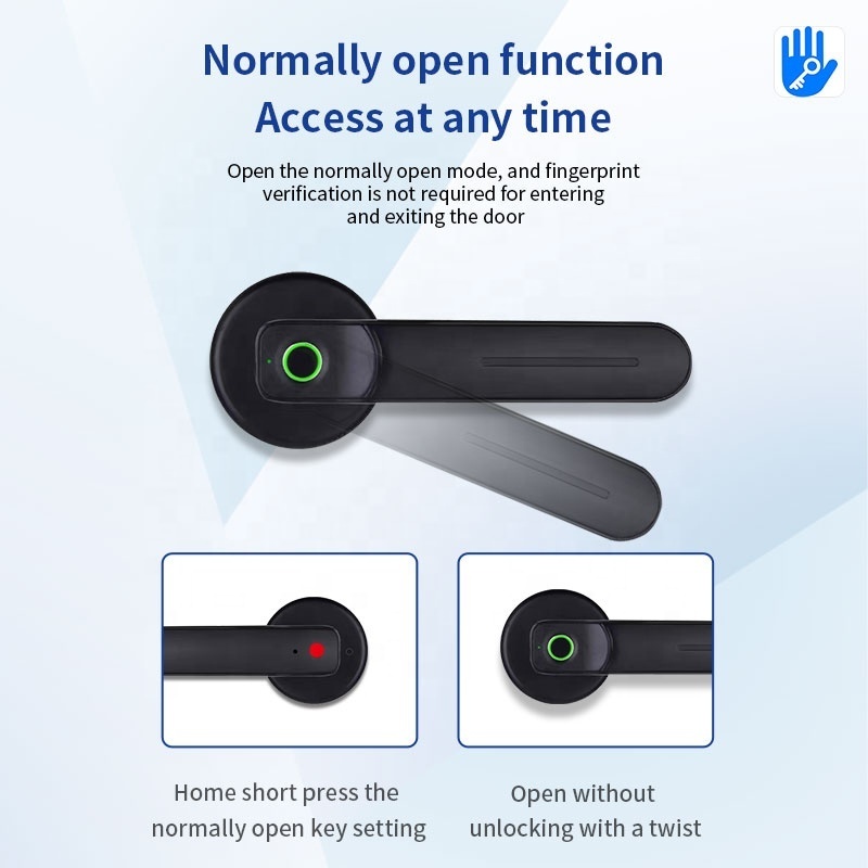 Pulido Electric Handle Lock Ttlock Smart Home Door Lock Biometric fingerprint lock cerradura inteligente con huella digital