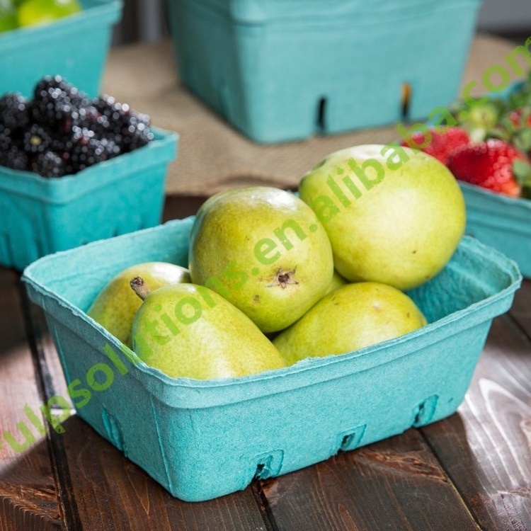 Blueberry Berry Box Fruit Container Strawberry Cherry Biodegradable Packaging Containers Packing Clam Shell Basket Eco 1 Punnet