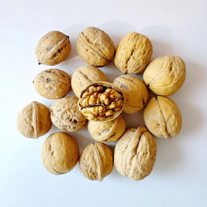 Chinese China wholesale yunnan 185 33 xinfeng walnuts in shell with extra light walnut kernels prices