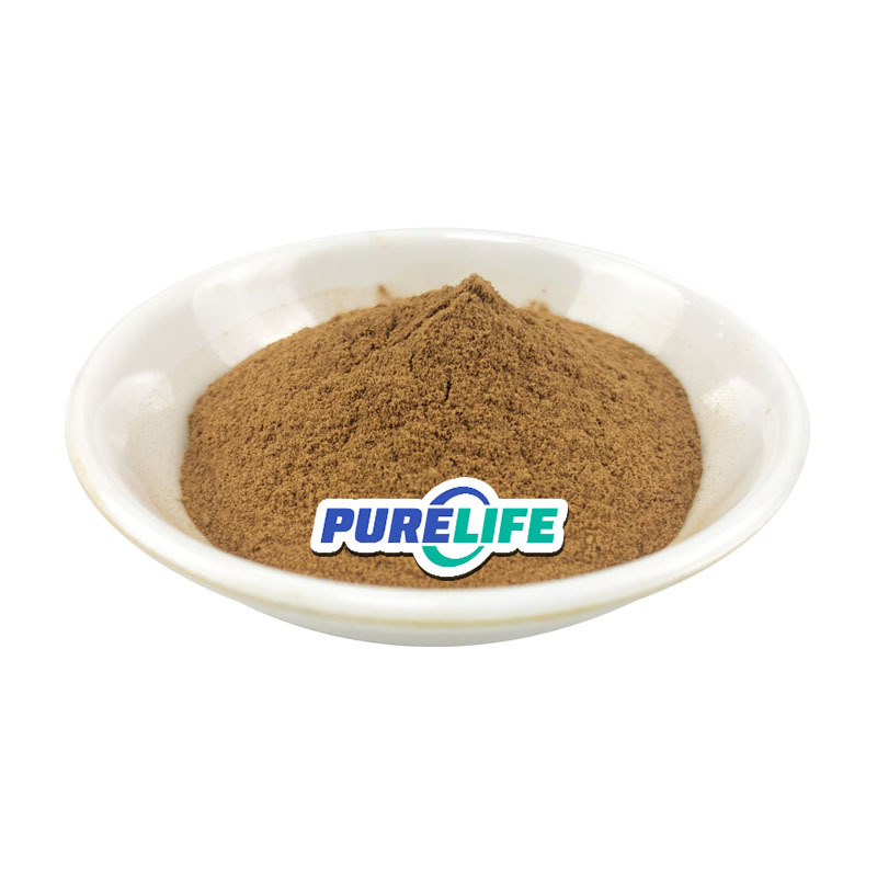 Polysaccharides Sparassis Crispa Chaxingu Tea Tree Agrocybe Aegerita Mushroom Extract Powder