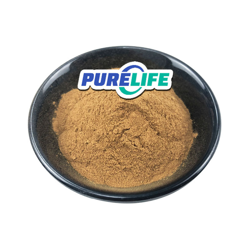 High Quality Organic Leaves Chlorogenic Acid Eucommia Ulmoides Extract