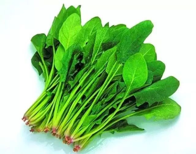 Wholesale Dehydrated Dry Green Vegetable Spinach Organic Freeze Dried Spinach Powder