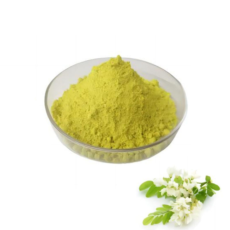 High Quality Sophora Japonica Extract 98% Sophoricoside