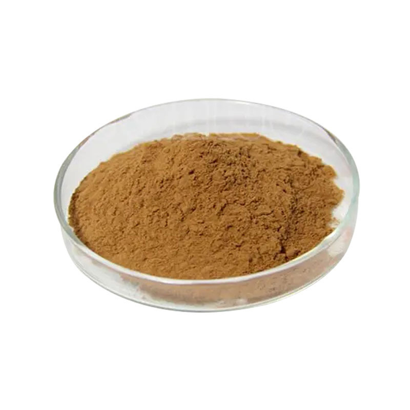 Factory Supply Best Quality Marine Seaweed Extract Red Algae Peel Extract Powder Red Algae Extract Powder