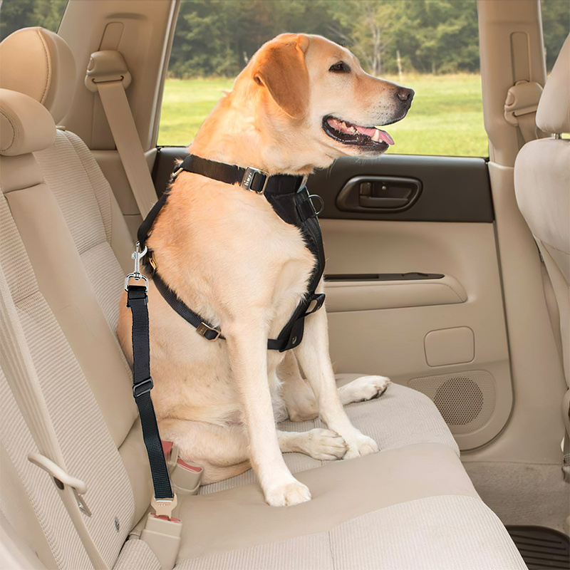 Pet Products Adjustable Strap Buckle Safety Dog Harness Leash Vehicle Pet Car Seat Belts