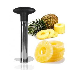 Gloway Ready To Ship Easy Kitchen Fruit Tools Stainless Steel Pineapple Slicer Cutter Manual Pineapple Peeler Pineapple Corer