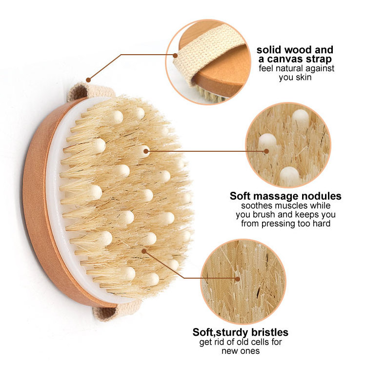 Gloway Hot Sale Custom Logo Boar Bristle Wood Bath Brush Massage Dry Back Exfoliation Scrubber Back Brush