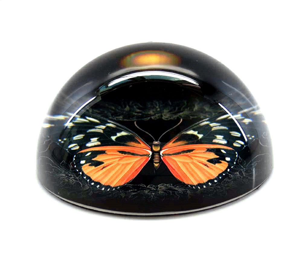 80mm hemisphere butterfly crystal glass dome paperweight for home decoration