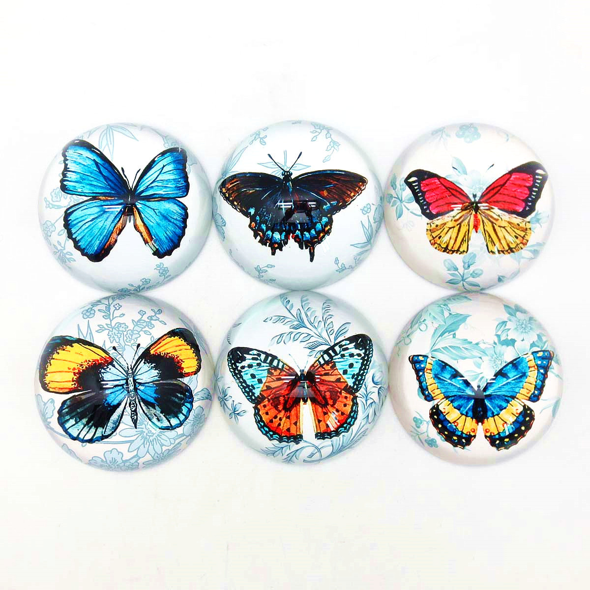 butterfly round crystal glass paperweight