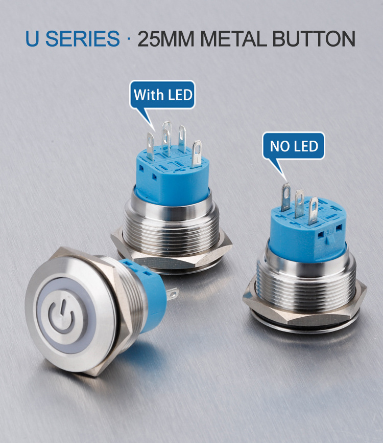 High voltage current power switches 12/16/19/22mm Momentary LED Push Button Switches Power Waterproof Used Cars Switch