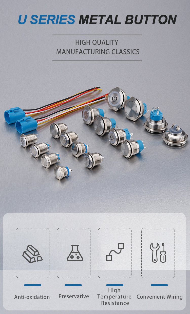 High voltage current power switches 12/16/19/22mm Momentary LED Push Button Switches Power Waterproof Used Cars Switch