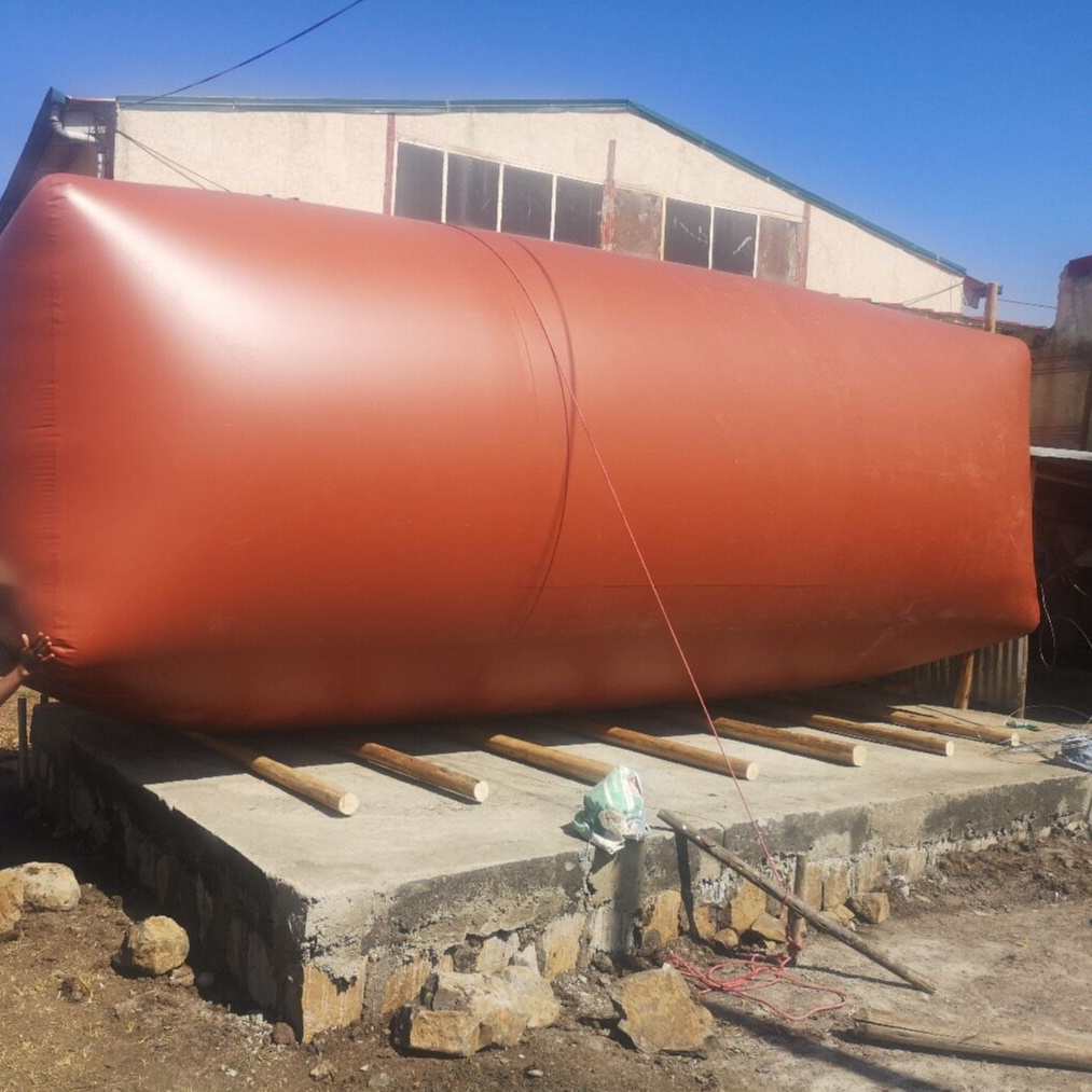 China gas storage bag for biogas plant puxin biogas balloon bag tank