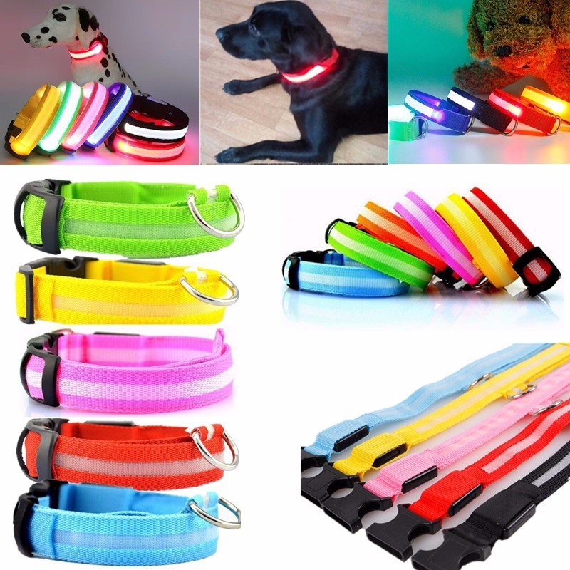 Best Seller Rechargeable LED Dog Collar for Dog Walking at Night Manufacturer Wholesale Eco Nylon Flashlight Collar Leash Set