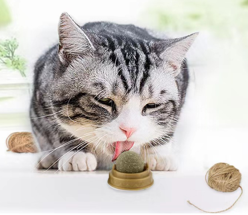 Spinning cat mint to go Polygonum insect fruit ball molar toy self hi cat food catnip