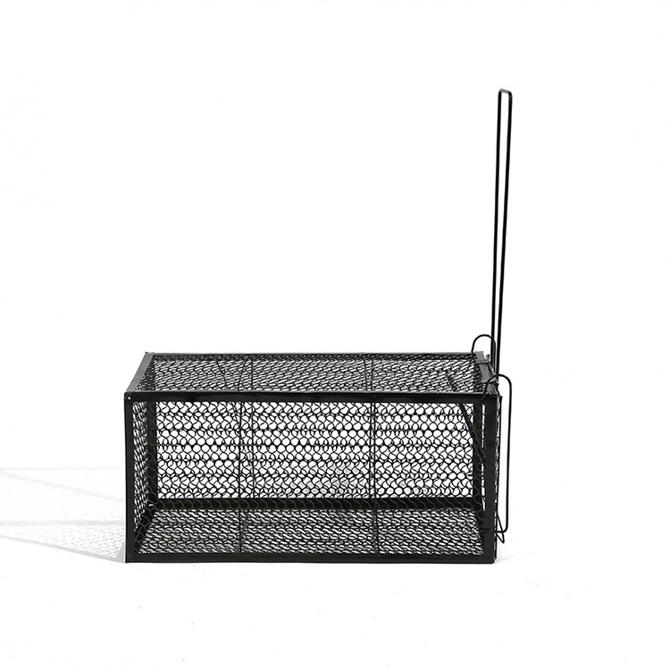 Latest arrival black iron mouse cage durable humane live rats trap cage