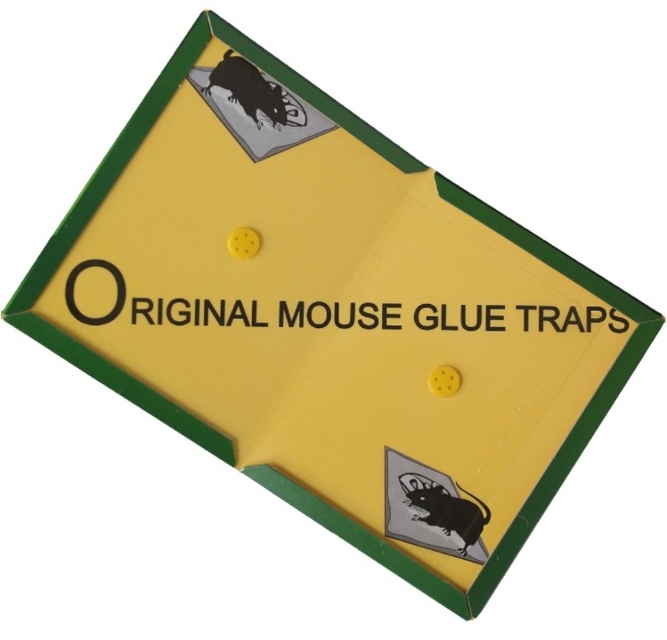 Pest control products strong adhesive rat mouse insect glue trap board for sale