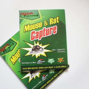 Pest control products strong adhesive rat mouse insect glue trap board for sale