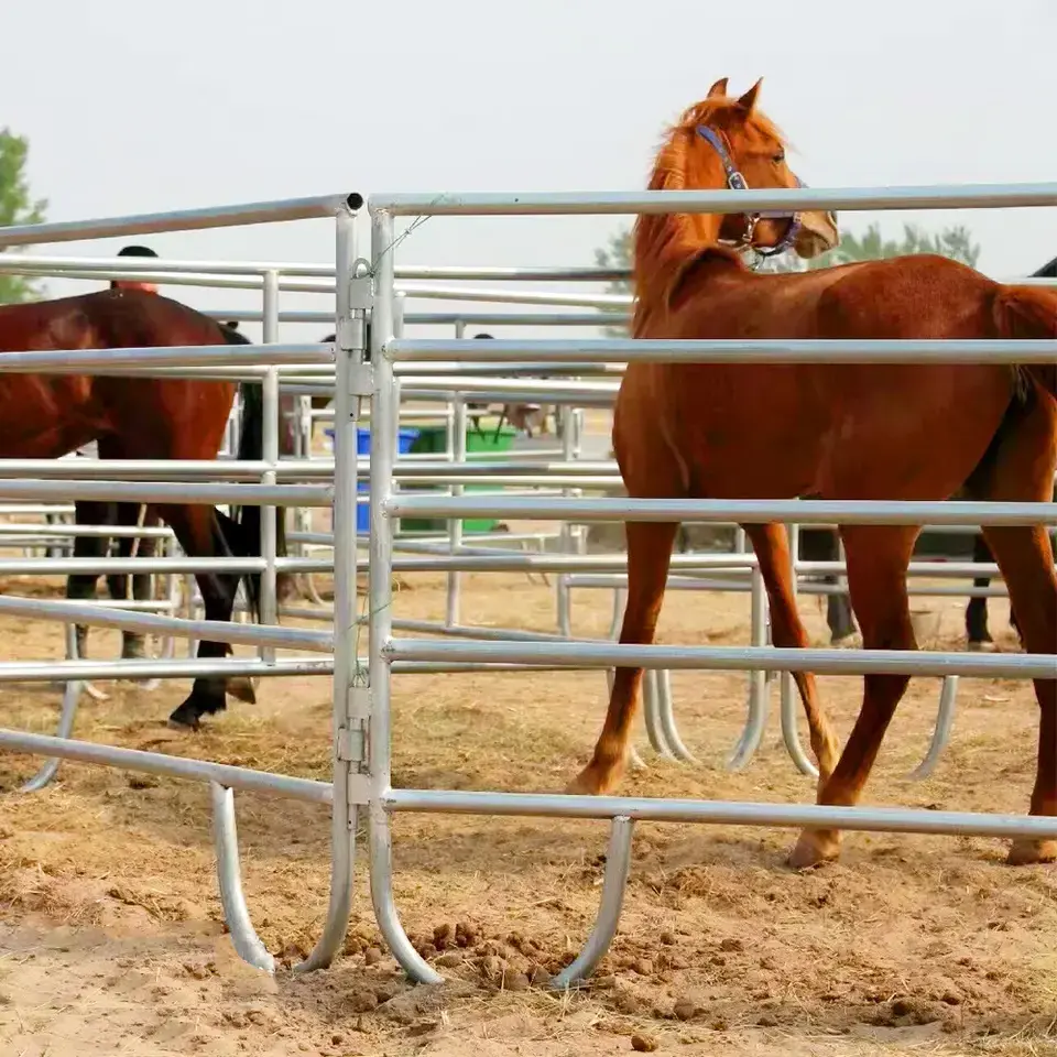 Free standing 12ft galvanized horse corral panels for farm livestock