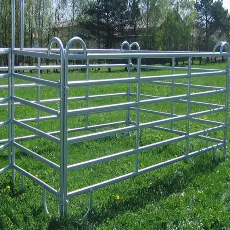 Free standing 12ft galvanized horse corral panels for farm livestock