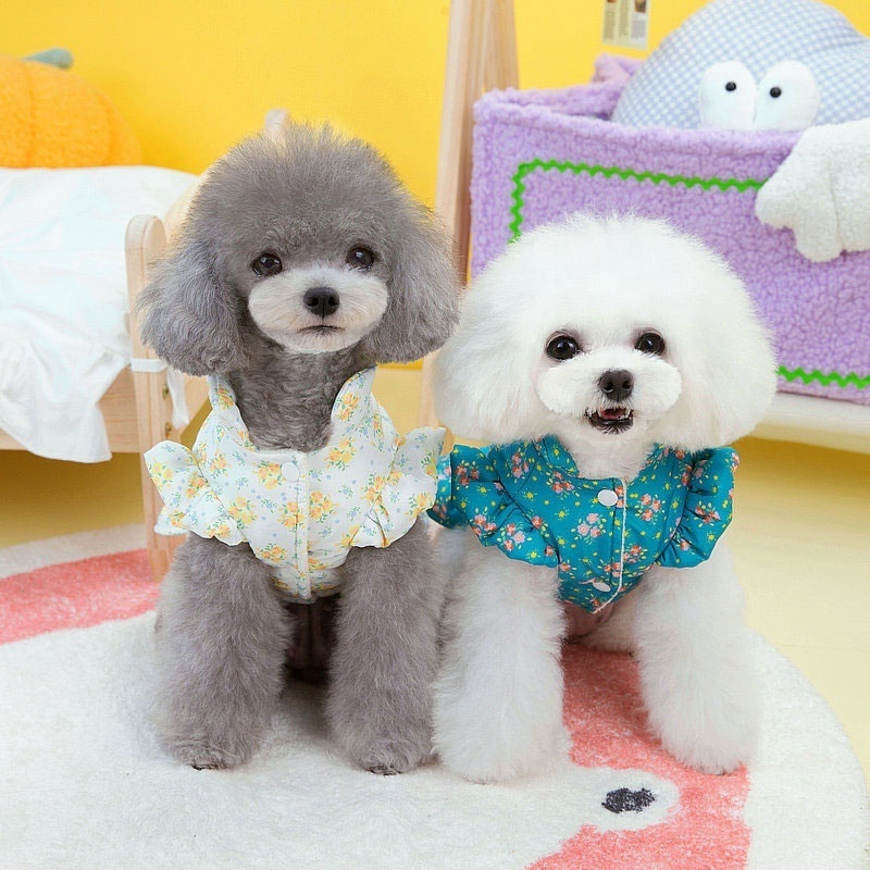 custom dog clothes Dresses Cute beautiful autumn and winter Cat clothing Korean style printed cotton skirt bulk pet clothes