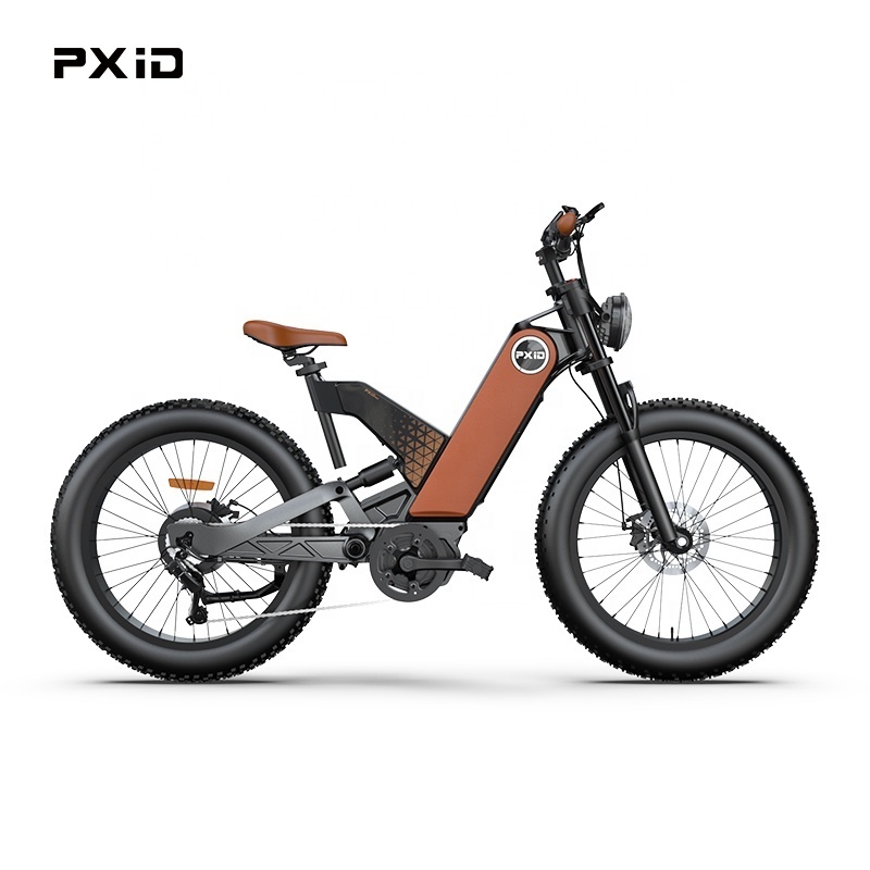 Retail Price E-bike 24 Inch Magnesium Alloy Frame Electric Fat Tire Mountain Bike 48V 750W Motor MTB Electric